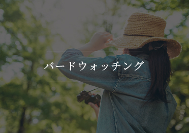 バードウオッチング