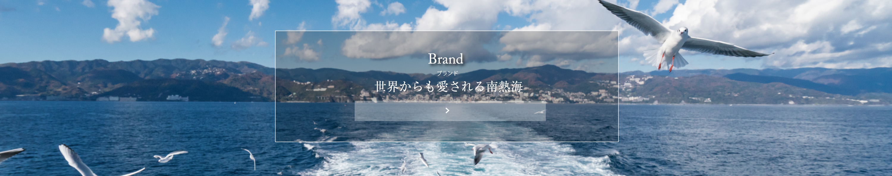 あじろ南熱海が丘：ブランド