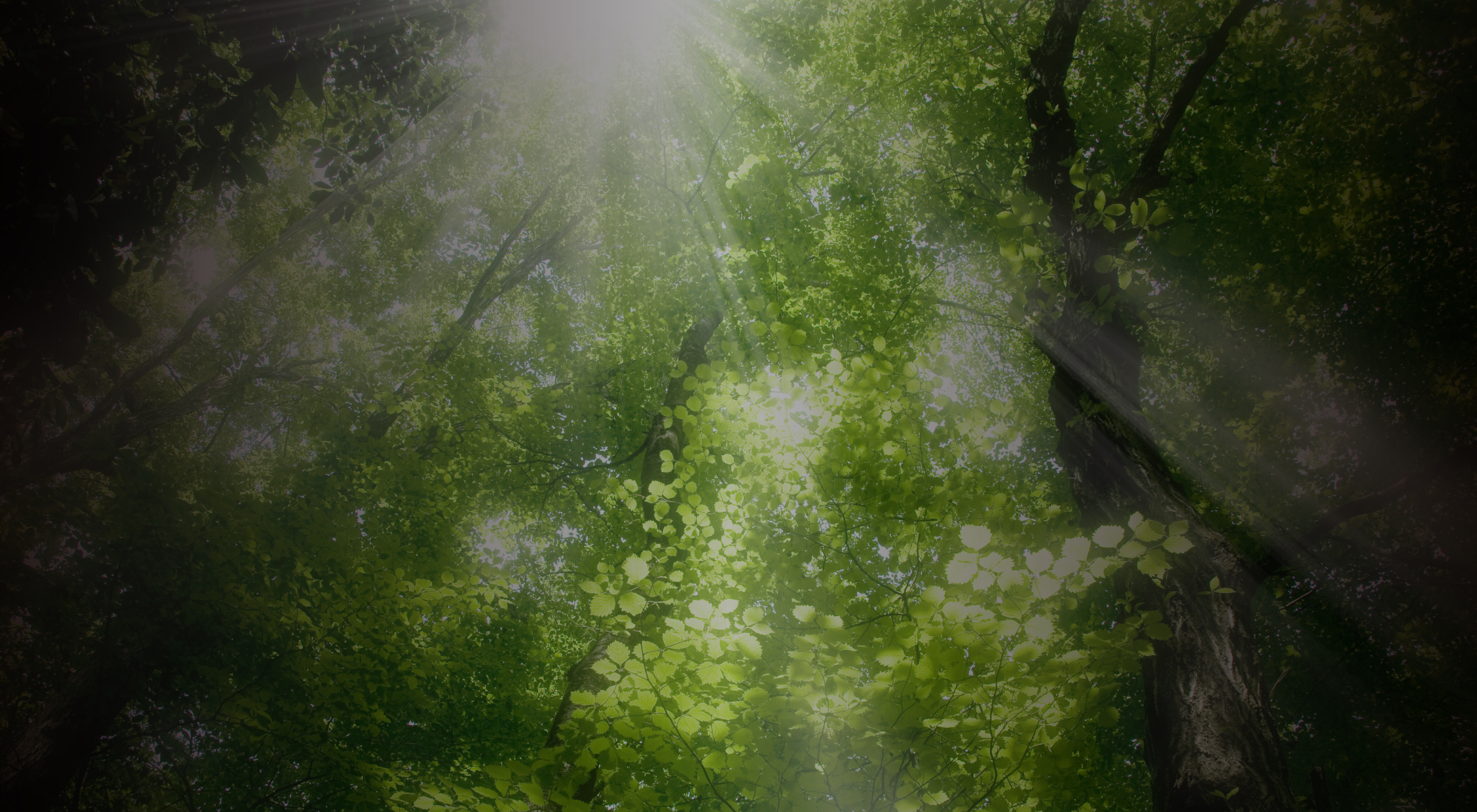 あじろ南熱海が丘イメージ画像2