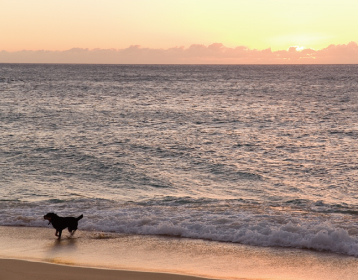 夕暮れの海画像